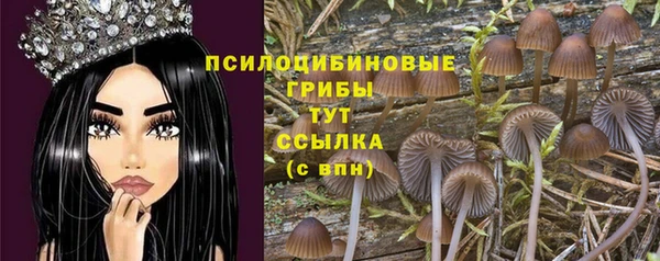 синтетический гашиш Армянск