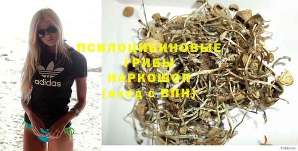бутират Баксан